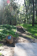 Tee Pad at Golden Gate Park Course