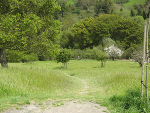 Moraga Commons Disc Golf Course in Spring