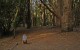 ggp_hole04_tee_no-dots_v01 Hole 4 - Tee