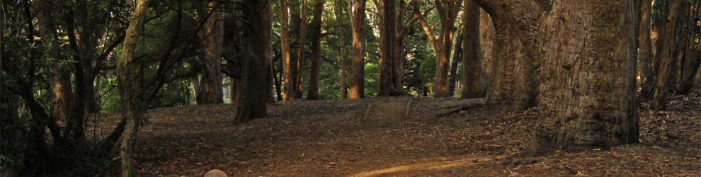 ggp_hole04_tee_no-dots_v01 Hole 4 - Tee