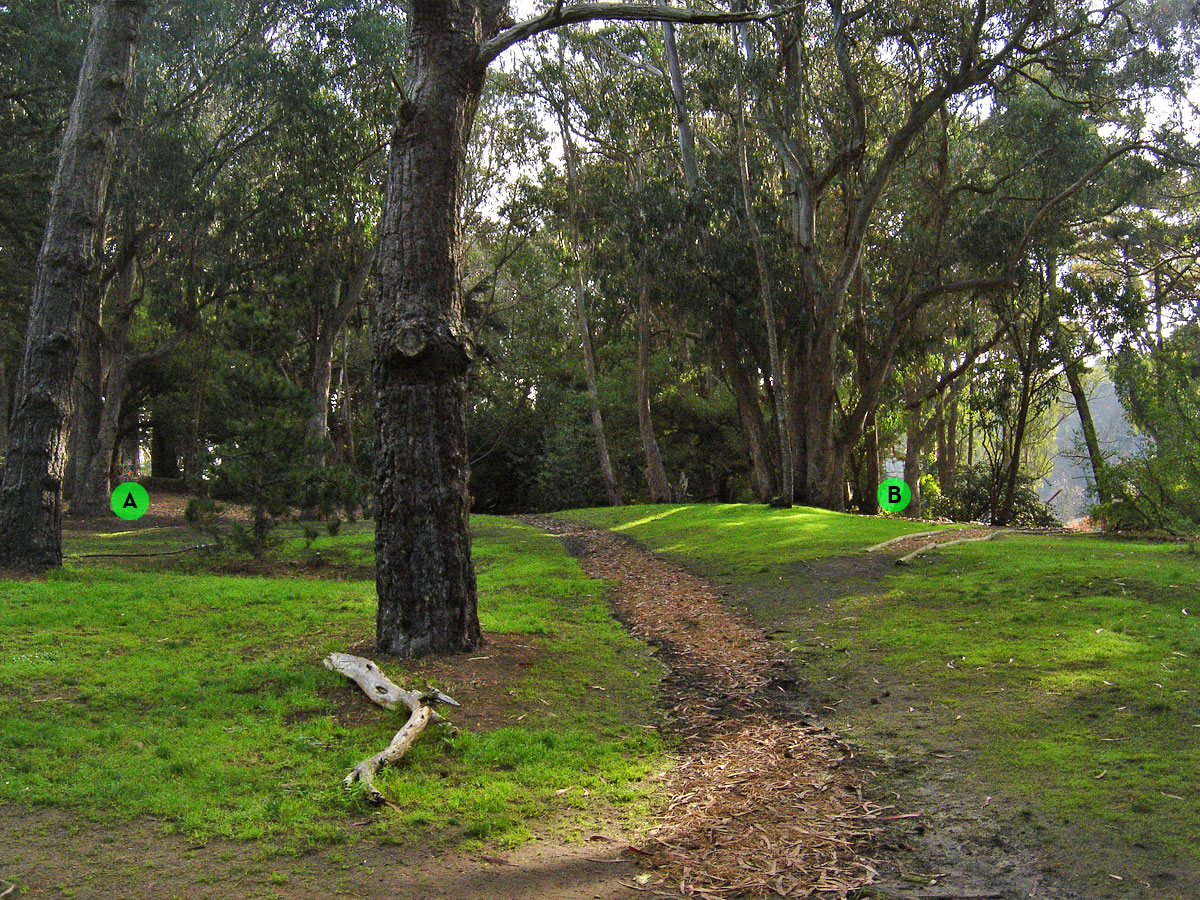 Hole 8 San Francisco Disc Golf, Golden Gate Park, California, USA