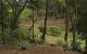 ggp_hole11_tee_no-dots_v01 ggp_hole11_tee_no-dots_v01