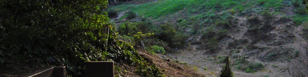 ggp_hole12_tee_no-dots_v01 Hole 12 - Tee
