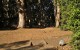 ggp_hole14_tee_no-dots_v01 Hole 14 - Tee