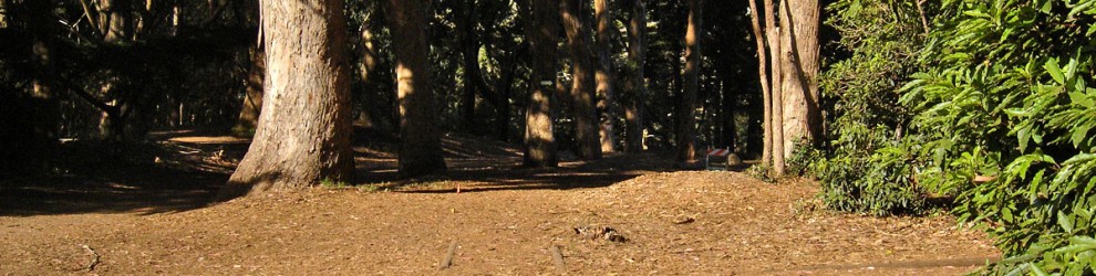 ggp_hole14_tee_no-dots_v01 Hole 14 - Tee