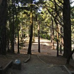 Hole 15 - Tee