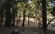 ggp_hole15_tee_no-dots_v01 Hole 15 - Tee