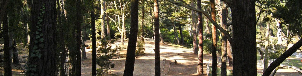 ggp_hole15_tee_no-dots_v01 Hole 15 - Tee