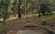ggp_hole16_tee_no-dots_v01 ggp_hole16_tee_no-dots_v01