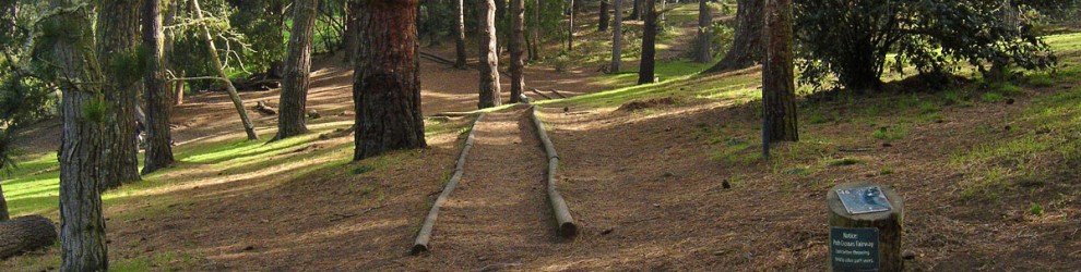 ggp_hole16_tee_no-dots_v01 ggp_hole16_tee_no-dots_v01