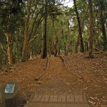 ggp_hole17_tee_no-dots_v01