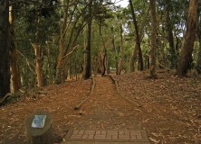 ggp_hole17_tee_no-dots_v01 ggp_hole17_tee_no-dots_v01