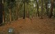 ggp_hole17_tee_no-dots_v01 ggp_hole17_tee_no-dots_v01