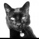 Profile picture of toddk