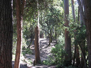 De Laveaga Disc Golf Course in Spring