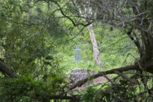 Golden Gate Park Disc Golf course