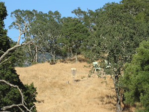 Skyline Wilderness Disc Golf Course in Summer