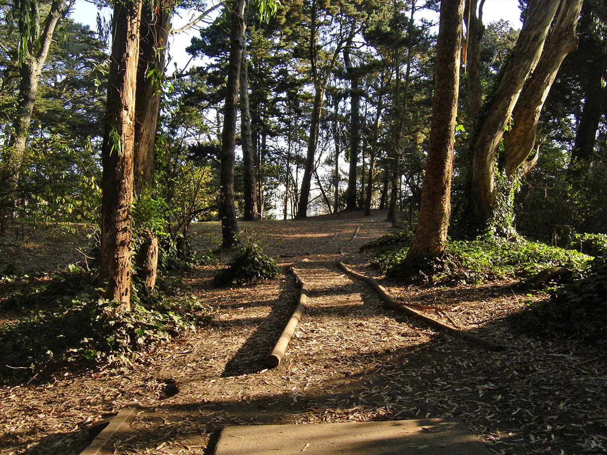 Hole 2 San Francisco Disc Golf Club
