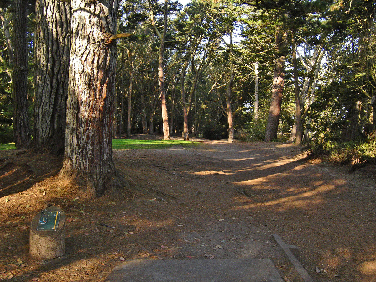 Hole 3 San Francisco Disc Golf Club
